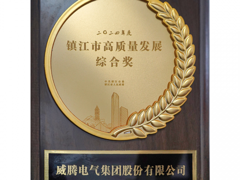 喜讯│pp电子荣获2024年度镇江市高质量生长综合奖