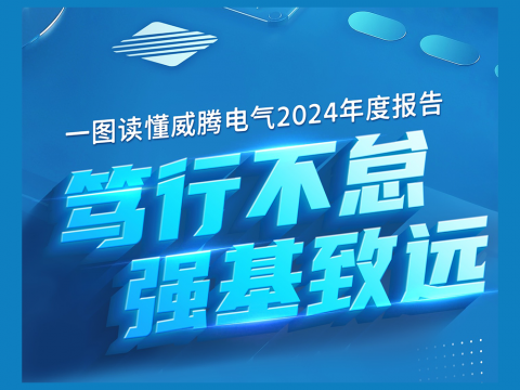 一图读懂pp电子电气2024年度报告